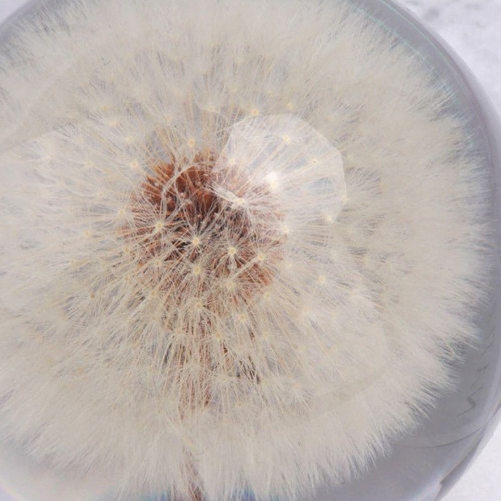White Dandelion Crystal Ball