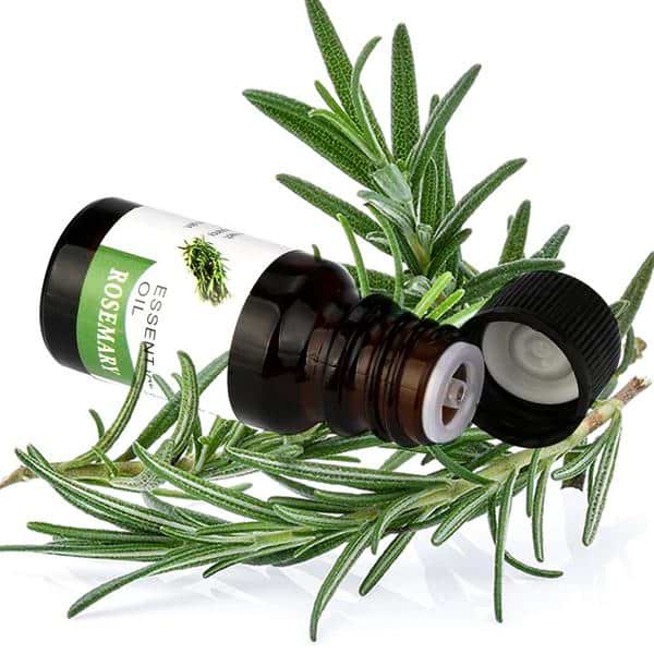 Rosemary Essential Oil