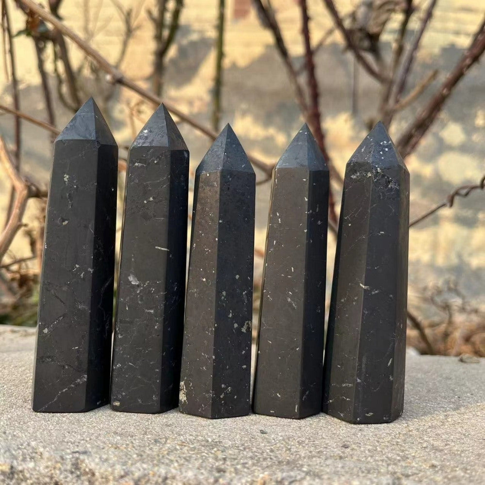 Shungite Stone Crystal Point