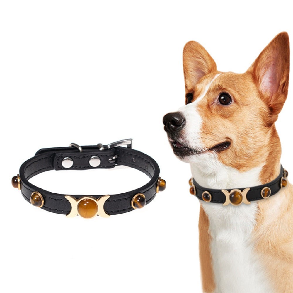 Tiger's Eye Pet Collar