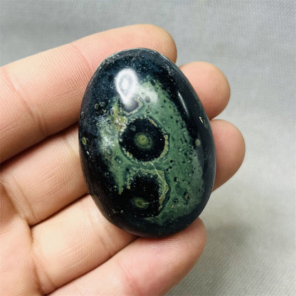 Peacock Eye Palm Stone