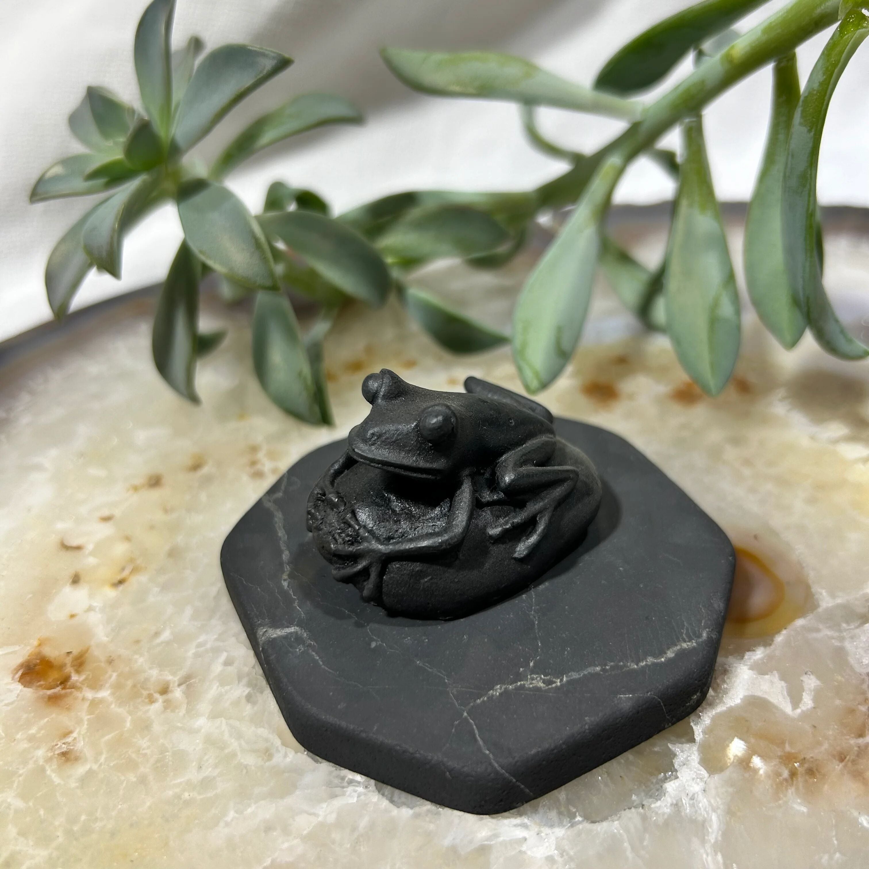Shungite Frog Figurine on Pebble Base