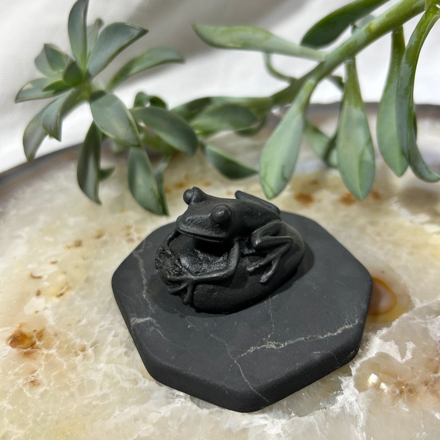 Shungite Frog Figurine on Pebble Base