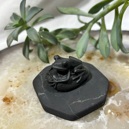 Shungite Frog Figurine on Pebble Base