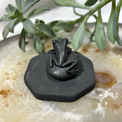 Shungite Frog Figurine on Pebble Base