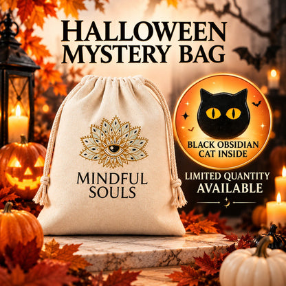 Halloween Mystery Bag