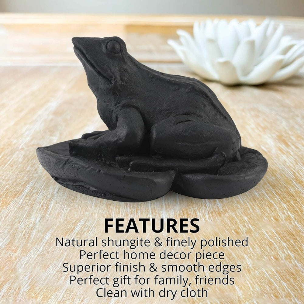 Shungite Stone Frog Figurine