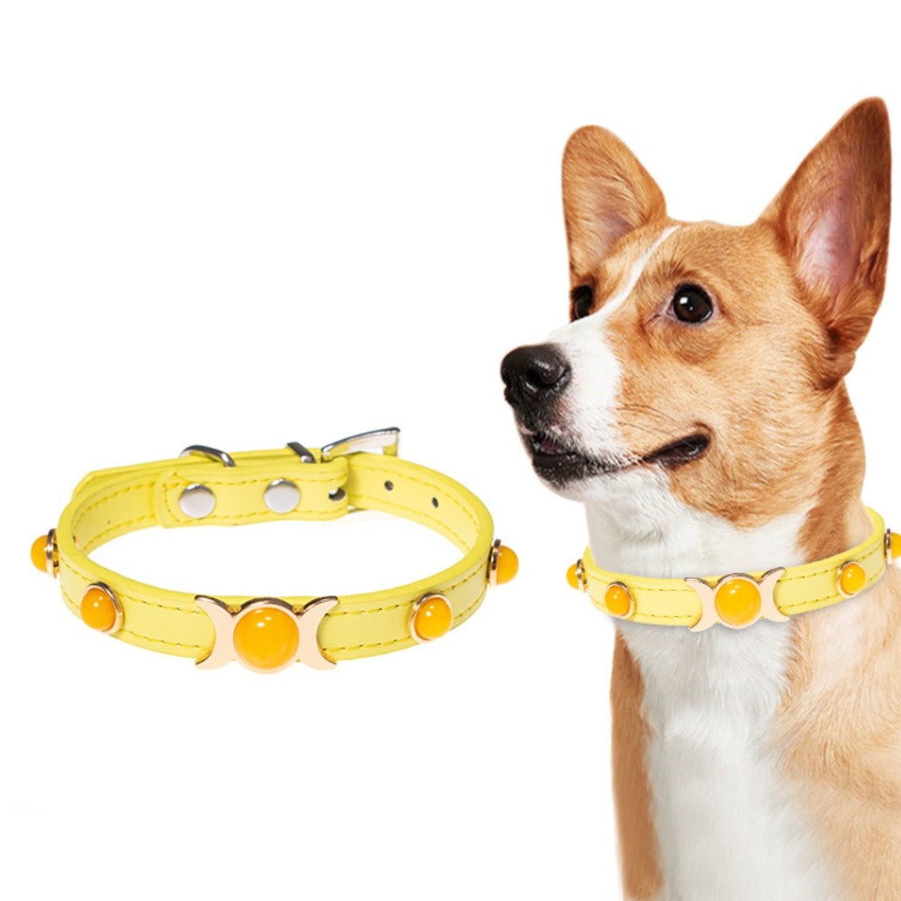 Citrine Pet Collar