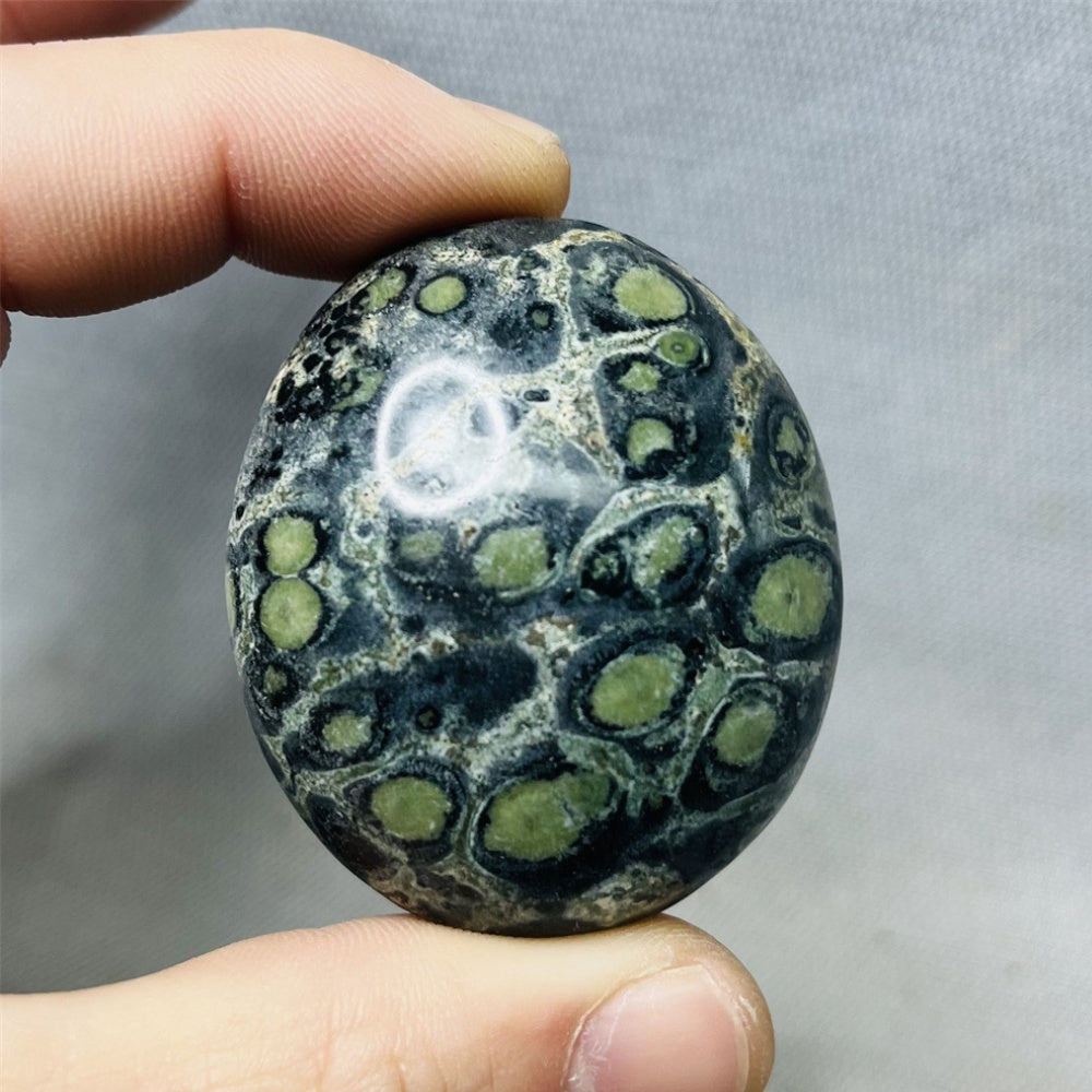 Peacock Eye Palm Stone