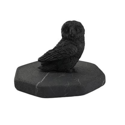 Shungite Owl Figurine – Ancient Wisdom for Modern Life