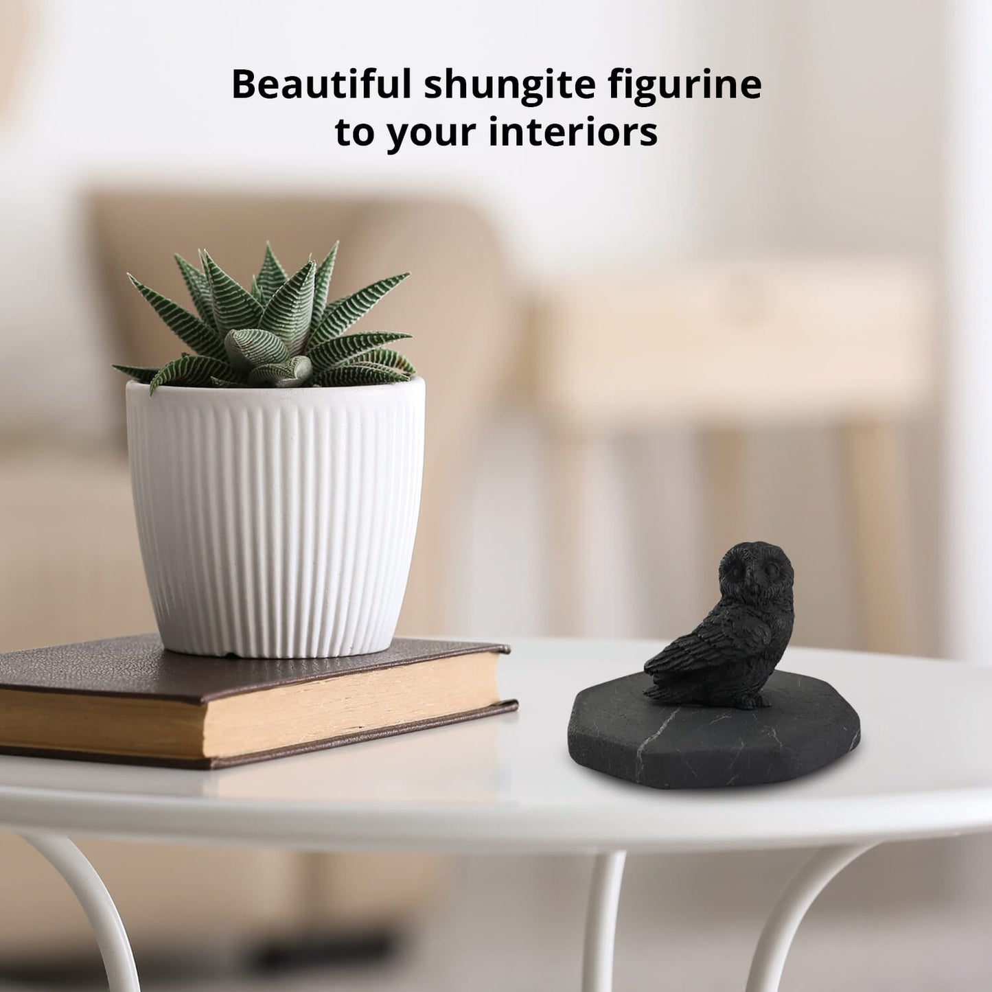 Shungite Owl Figurine – Ancient Wisdom for Modern Life