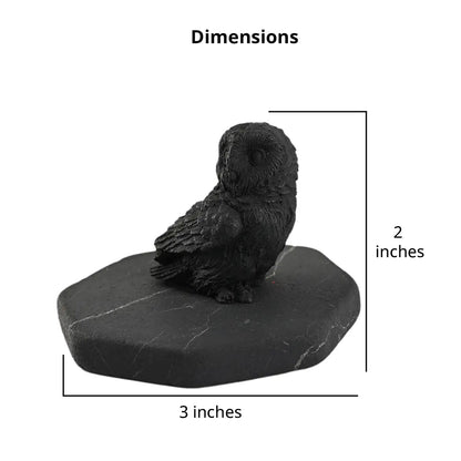 Shungite Owl Figurine – Ancient Wisdom for Modern Life