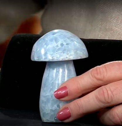 Blue Calcite Mushroom – A Soothing Touch of Serenity
