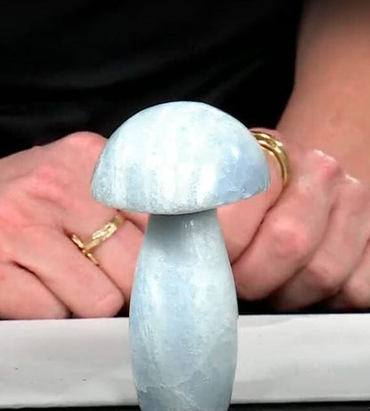 Blue Calcite Mushroom – A Soothing Touch of Serenity