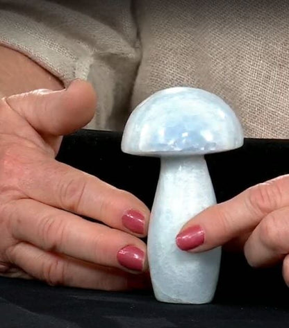 Blue Calcite Mushroom – A Soothing Touch of Serenity