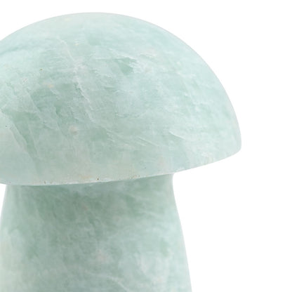 Amazonite Mushroom – A Symbol of Balance and Peace
