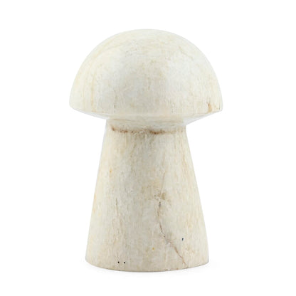 White Moonstone Mushroom – A Gentle Touch of Balance and Tranquility