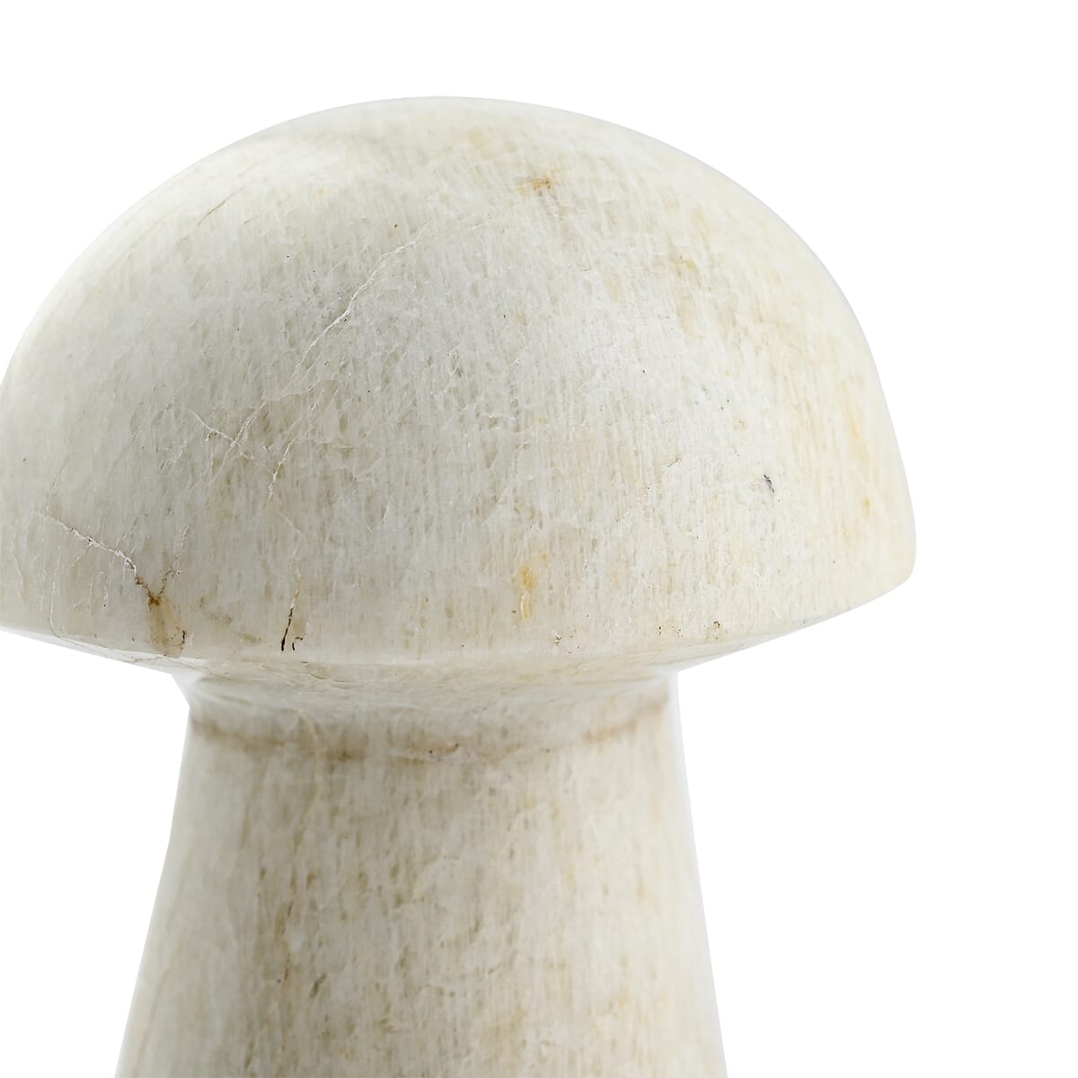 White Moonstone Mushroom – A Gentle Touch of Balance and Tranquility