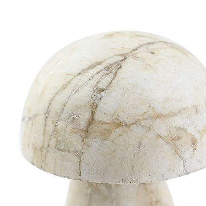 White Moonstone Mushroom – A Gentle Touch of Balance and Tranquility