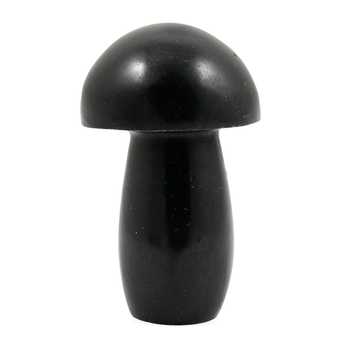 Basalt Mushroom – A Symbol of Resilience and Grounded Strength