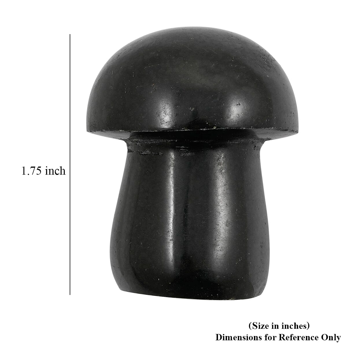 Basalt Mushroom – A Symbol of Resilience and Grounded Strength