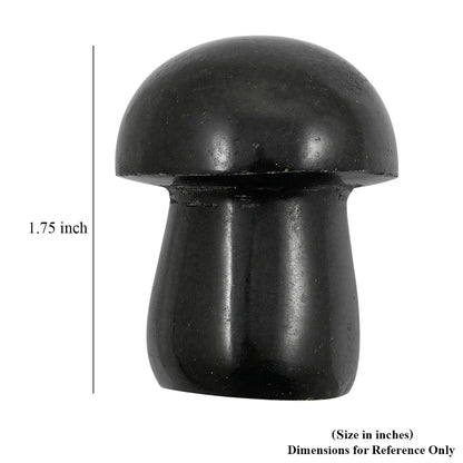 Basalt Mushroom – A Symbol of Resilience and Grounded Strength