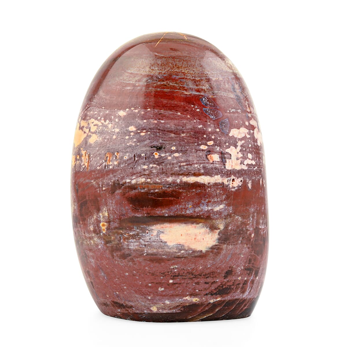 Petrified Wood Freeform – Ancient Grounding Energy