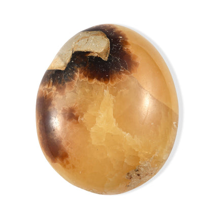 Septaria Palm — Grounding and Emotional Healing