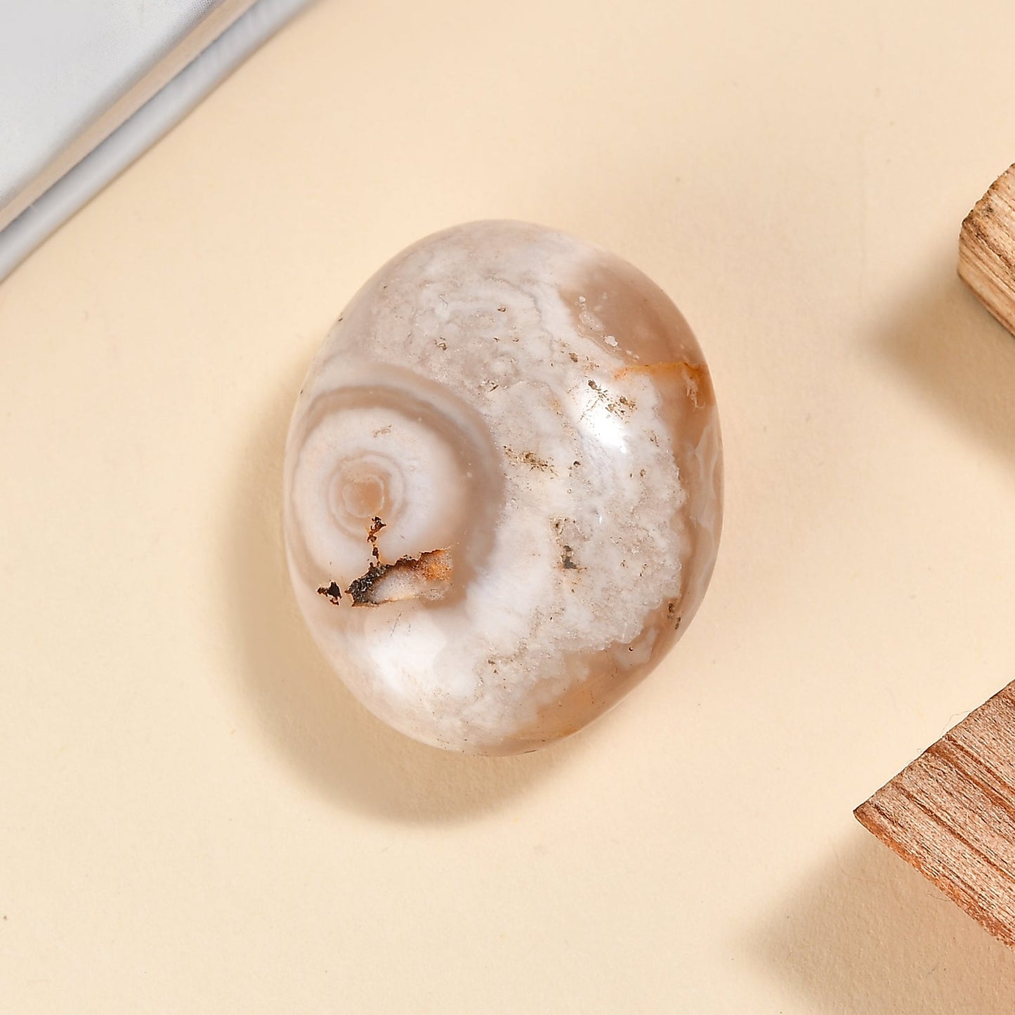 Agate Palm — Grounding and Emotional Healing