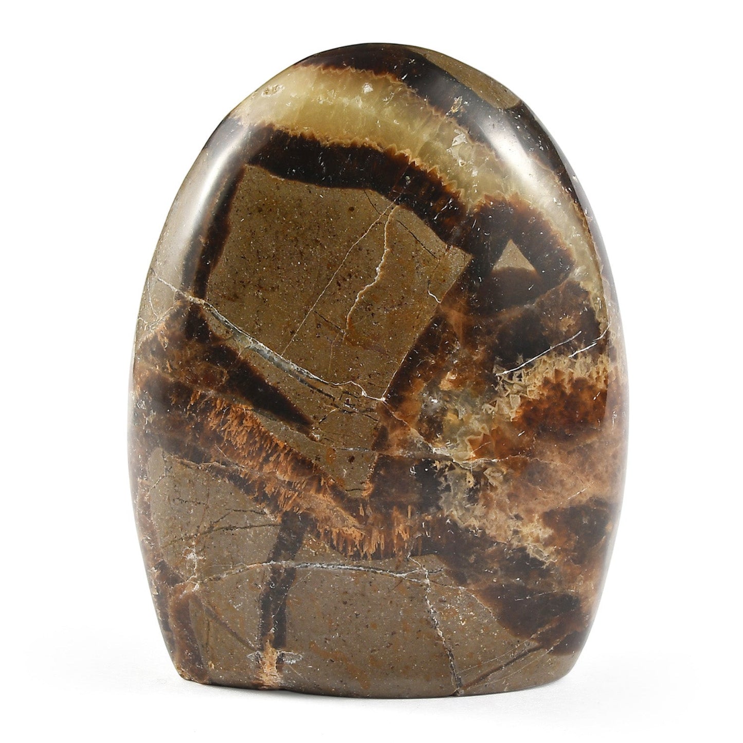 Septaria Free Form — Grounding and Healing Energy