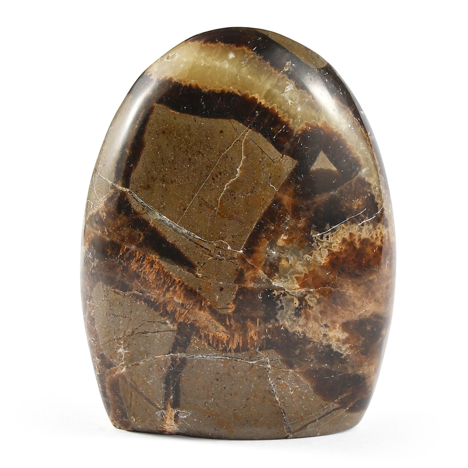 Septaria Free Form — Grounding and Healing Energy