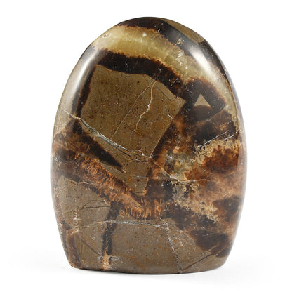 Septaria Free Form — Grounding and Healing Energy