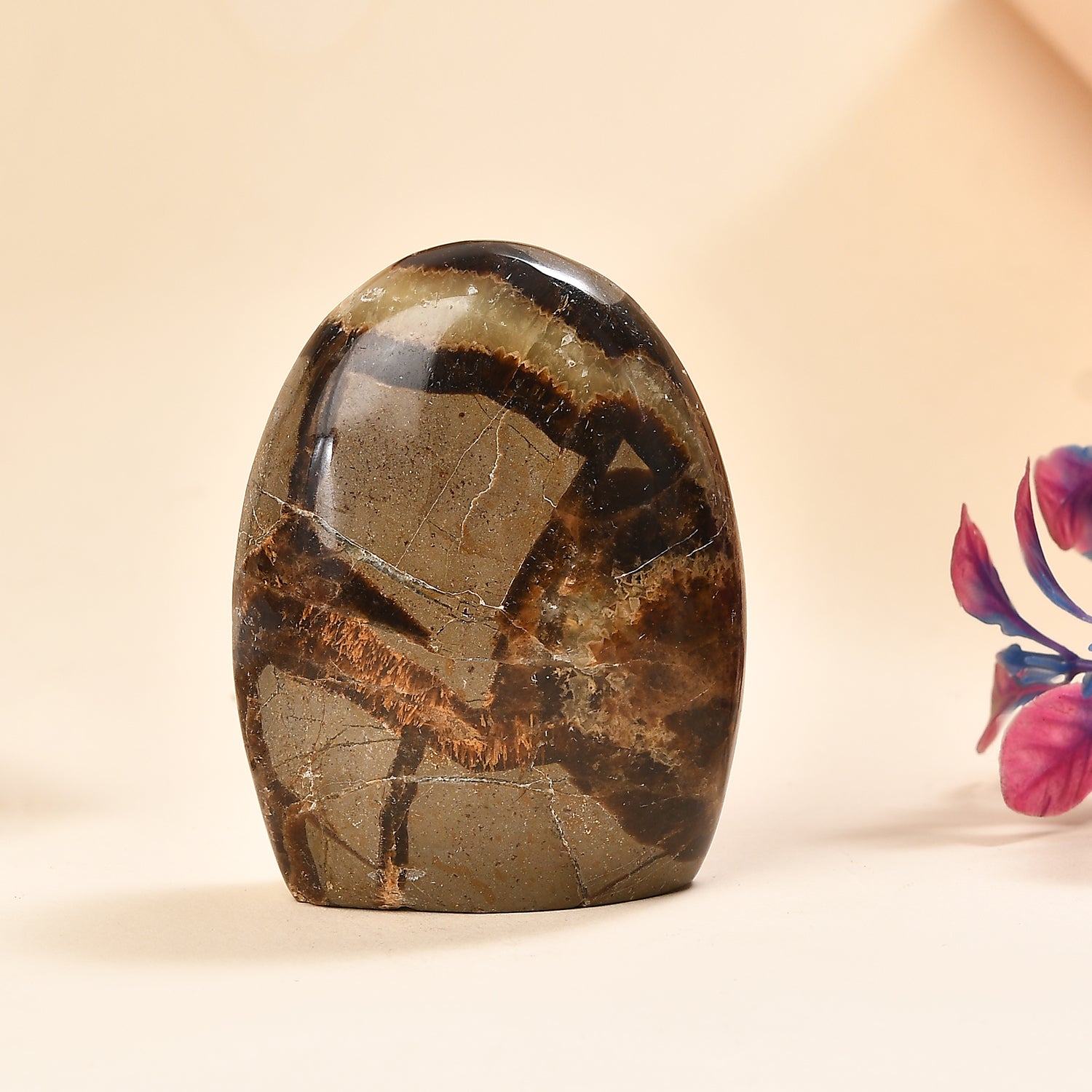 Septaria Free Form — Grounding and Healing Energy