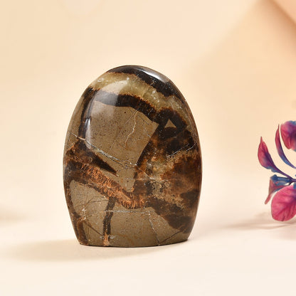 Septaria Free Form — Grounding and Healing Energy