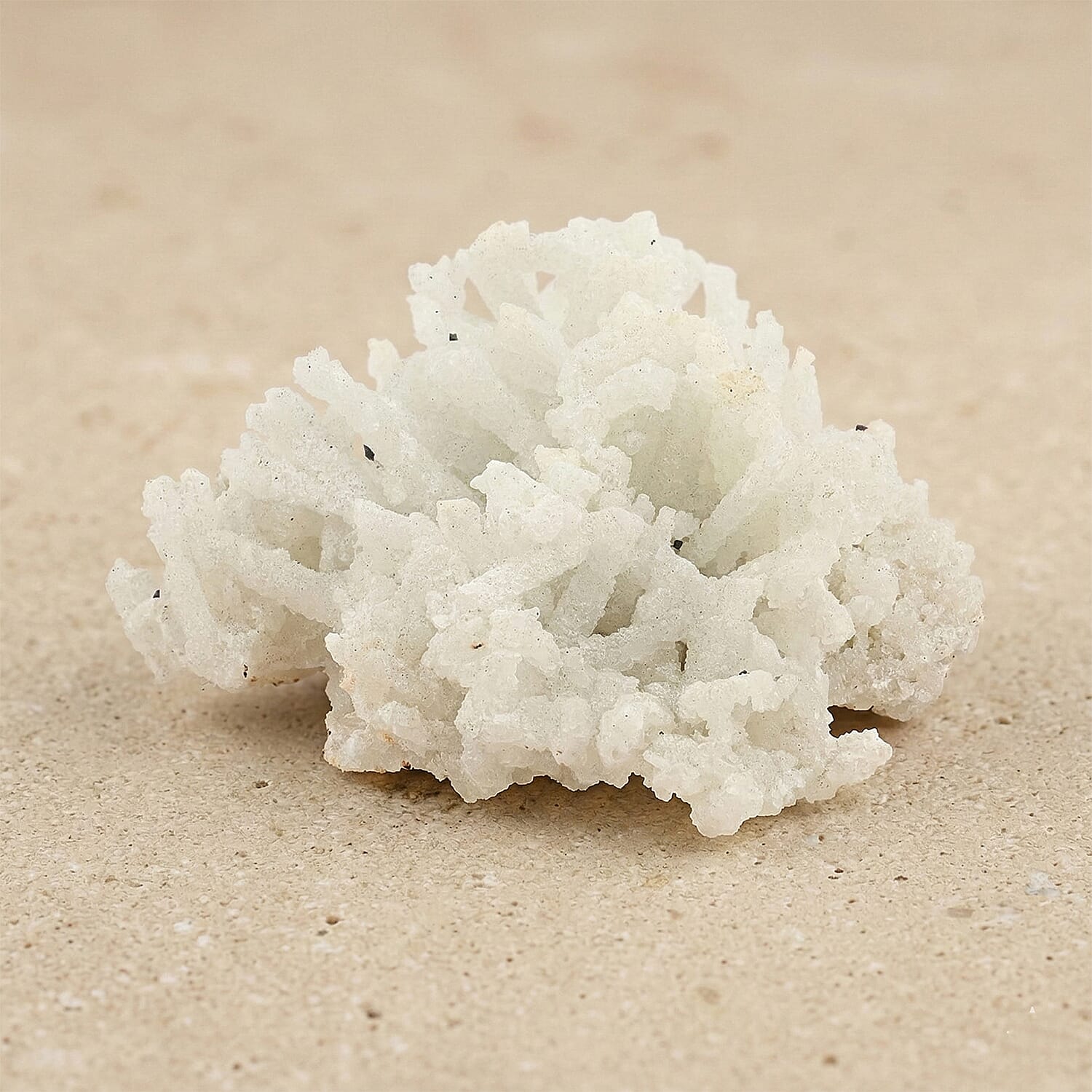 Unconditional Love Prehnite - Stone of Healing