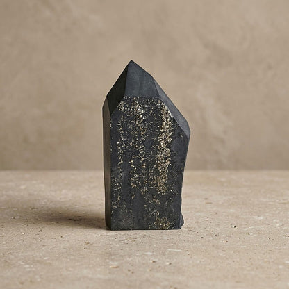 Shungite Pyrite – Grounding Energy & Protection Stone