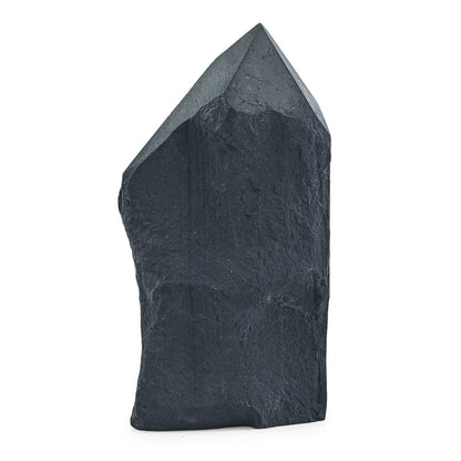 Shungite Pyrite – Grounding Energy & Protection Stone