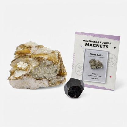 The Wealth Energy Starter Kit