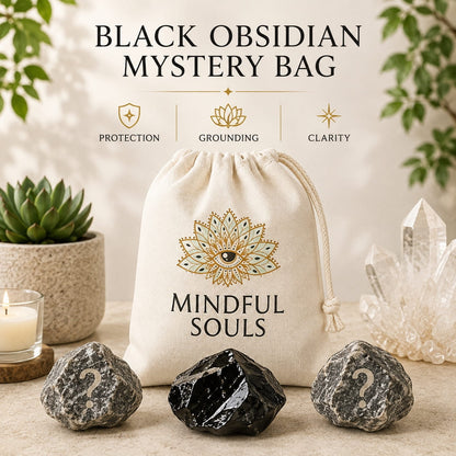 Crystal Mystery Bag – Black Obsidian Empath Shield Edition