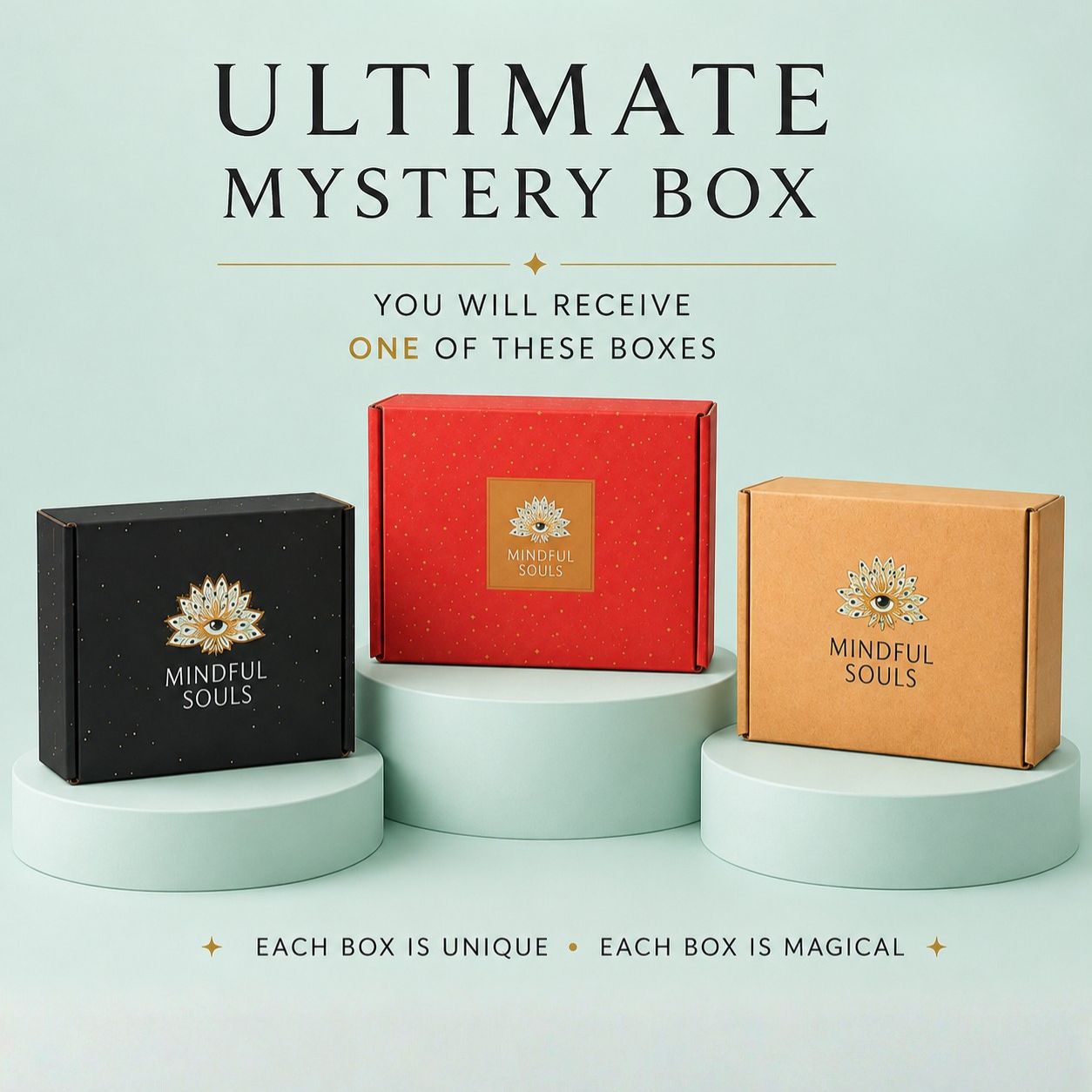 The Ultimate Mystery Box