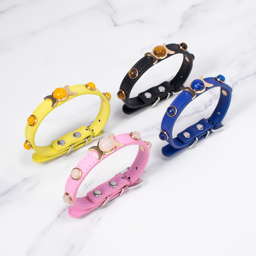 Pet Collars