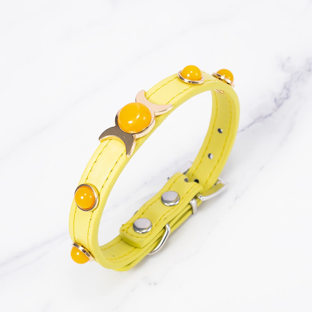 Citrine Pet Collar