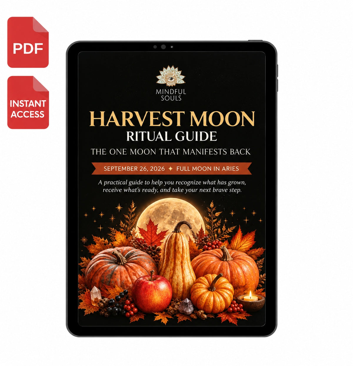 Harvest Moon Crystal Mystery Bag + FREE 20-Page Ritual Guide