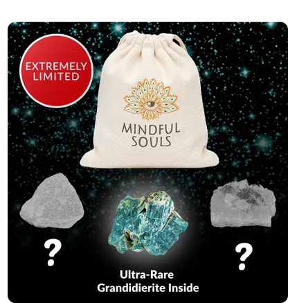 Crystal Mystery Bag: Luxury Collector’s Edition