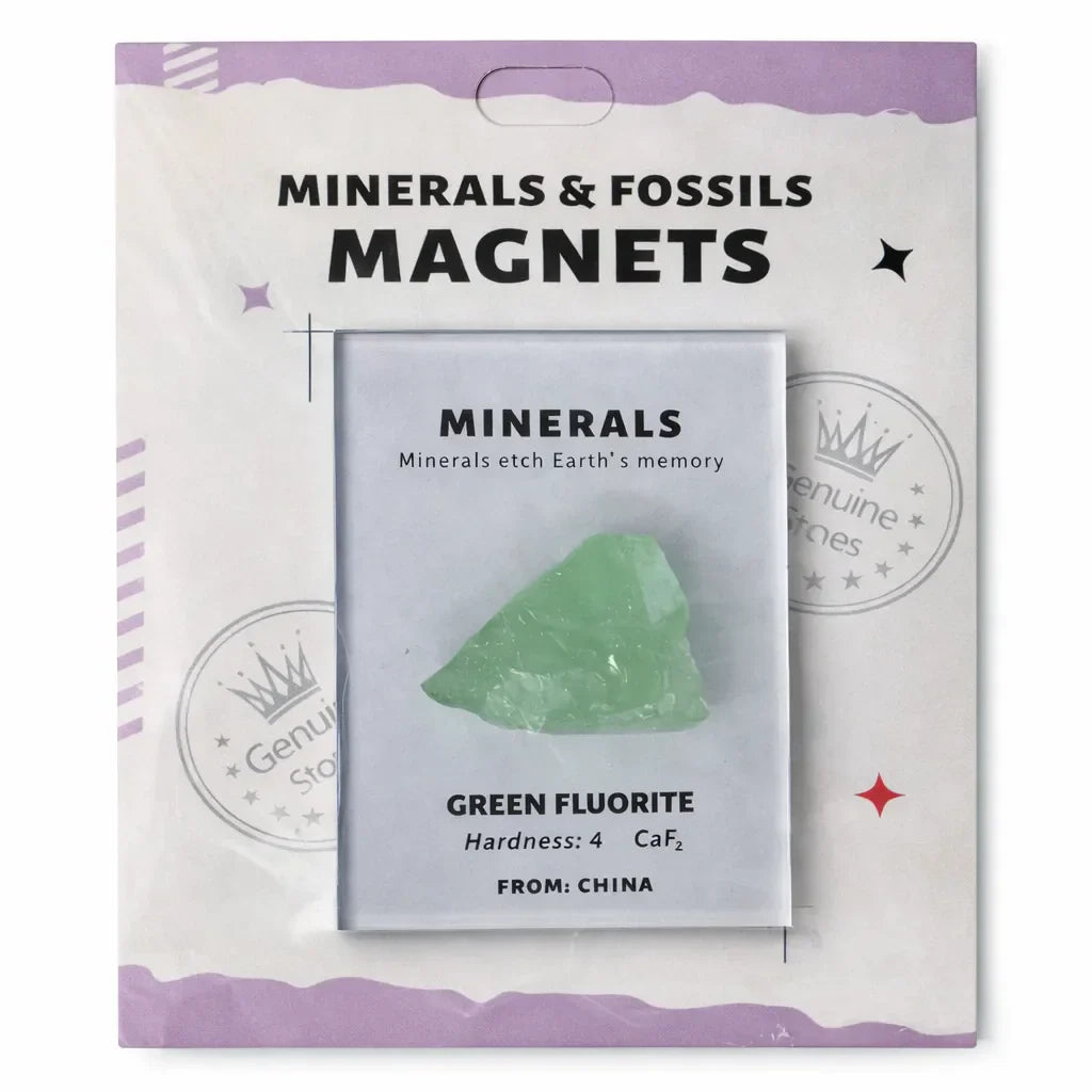 Everyday Intention Crystal Energy Magnet Collection