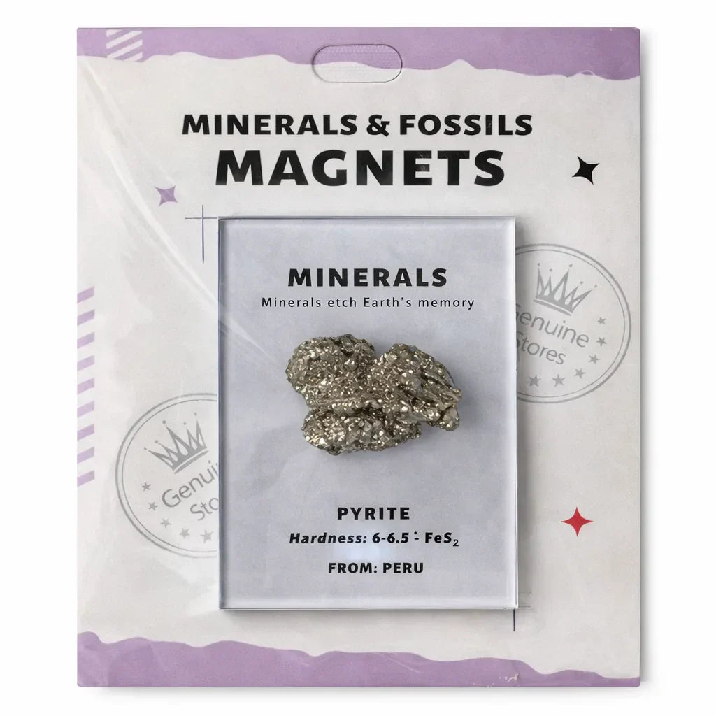 The Wealth Energy Starter Kit