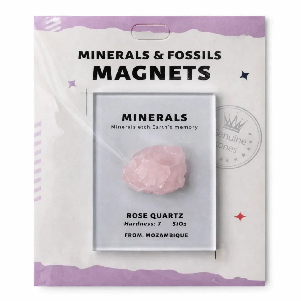 Everyday Intention Crystal Energy Magnet Collection