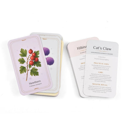 Witchcraft Starter Kit + FREE Apothecary Deck