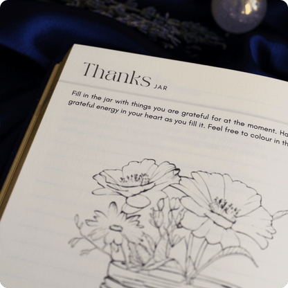 The Gratitude Journal