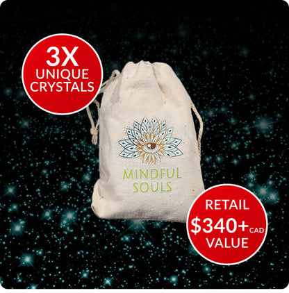 Crystal Mystery Bag: Luxury Collector’s Edition